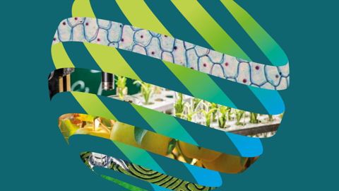 Du 14 au 20 août 2022, au centre des congrès d’Angers, le congrès horticole mondial IHC offrira une visibilité à l’enseignement technique horticole et du paysage. ©IHC